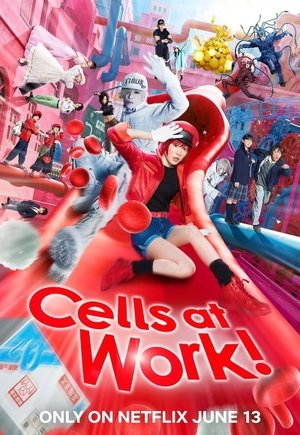Cells at Work!