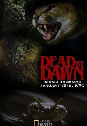 Dead by Dawn