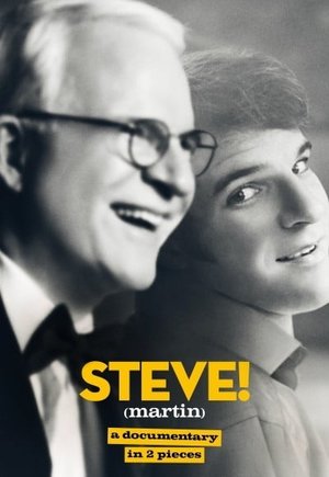 Steve! (Martin): A Documentary in 2 Pieces