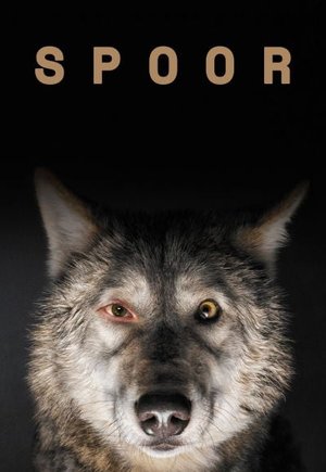 Spoor