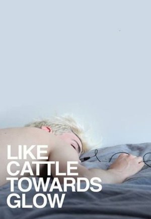 Like Cattle Towards Glow