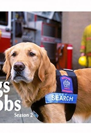 Dogs with Jobs