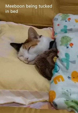Tucked