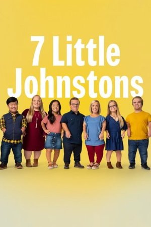 7 Little Johnstons