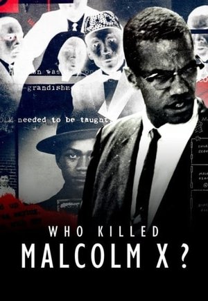 Who Killed Malcolm X?