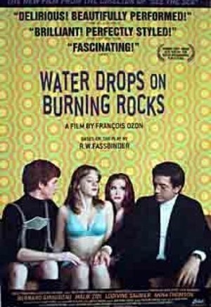 Water Drops on Burning Rocks
